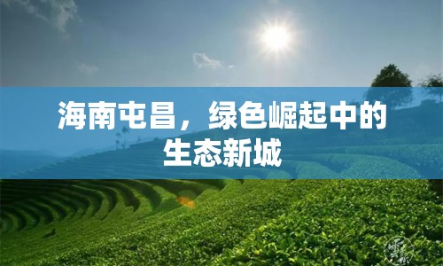 海南屯昌，綠色崛起中的生態(tài)新城