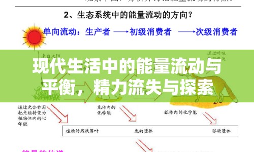 現(xiàn)代生活中的能量流動(dòng)與平衡，精力流失與探索