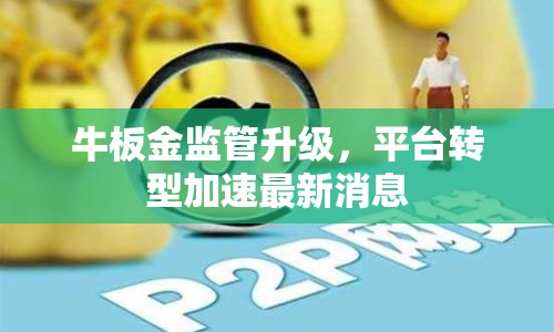 牛板金監(jiān)管升級，平臺轉(zhuǎn)型加速最新消息