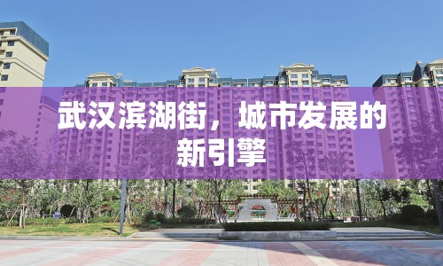 武漢濱湖街，城市發(fā)展的新引擎