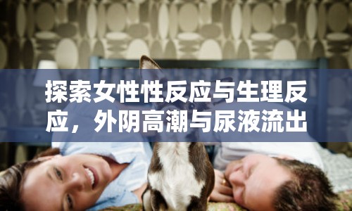 探索女性性反應(yīng)與生理反應(yīng)，外陰高潮與尿液流出