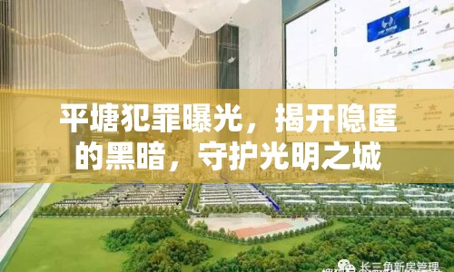 平塘犯罪曝光，揭開隱匿的黑暗，守護(hù)光明之城