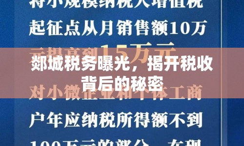 郯城稅務(wù)曝光，揭開(kāi)稅收背后的秘密