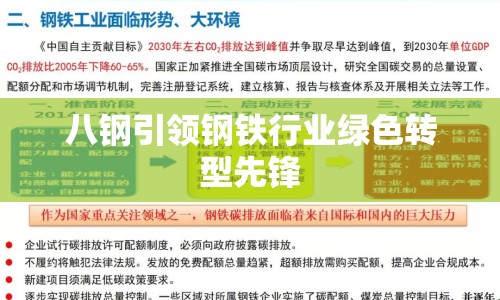 八鋼引領(lǐng)鋼鐵行業(yè)綠色轉(zhuǎn)型先鋒