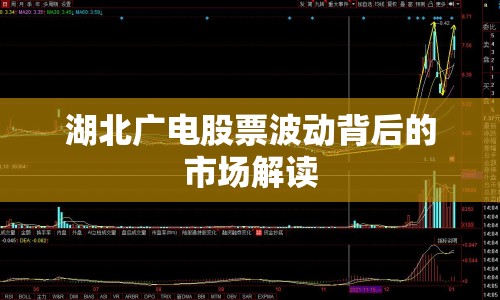 湖北廣電股票波動背后的市場解讀