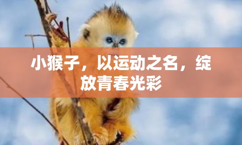 小猴子，以運動之名，綻放青春光彩