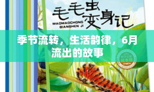 季節(jié)流轉(zhuǎn)，生活韻律，6月流出的故事