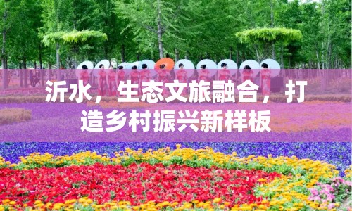 沂水，生態(tài)文旅融合，打造鄉(xiāng)村振興新樣板