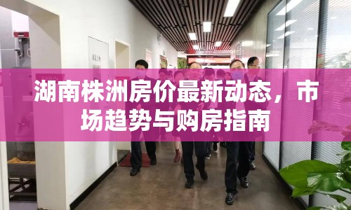 湖南株洲房價(jià)最新動(dòng)態(tài)，市場(chǎng)趨勢(shì)與購房指南