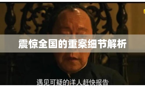 震驚全國的重案細節(jié)解析