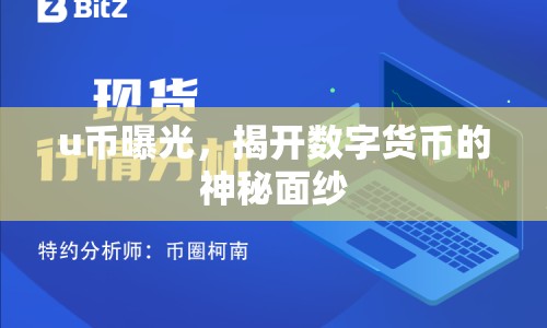 u幣曝光，揭開數(shù)字貨幣的神秘面紗