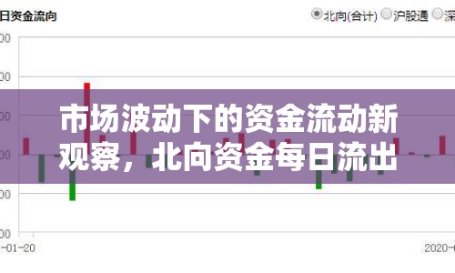 市場波動下的資金流動新觀察，北向資金每日流出額度