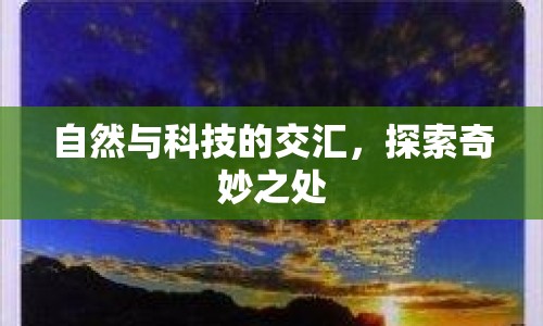 自然與科技的交匯，探索奇妙之處