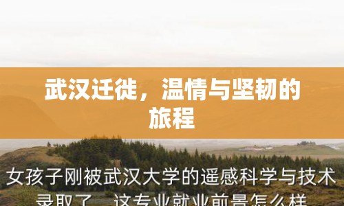 武漢遷徙，溫情與堅韌的旅程