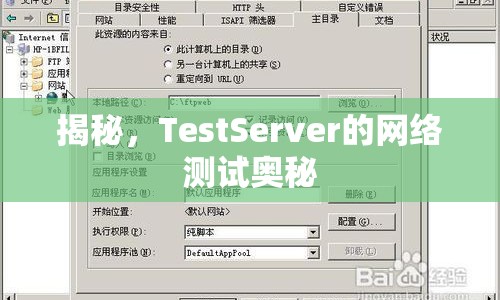 揭秘，TestServer的網(wǎng)絡(luò)測(cè)試奧秘