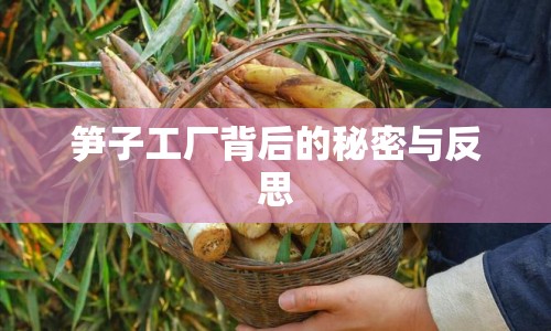 筍子工廠背后的秘密與反思
