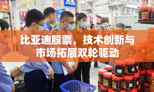 比亞迪股票，技術創(chuàng)新與市場拓展雙輪驅(qū)動