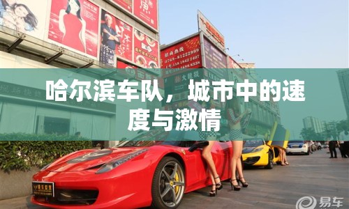 哈爾濱車(chē)隊(duì)，城市中的速度與激情