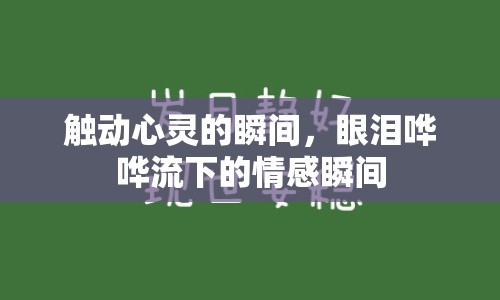 觸動心靈的瞬間，眼淚嘩嘩流下的情感瞬間