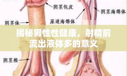 揭秘男性性健康，射精前流出液體多的意義