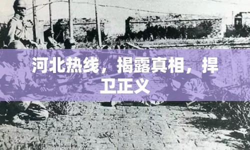 河北熱線，揭露真相，捍衛(wèi)正義