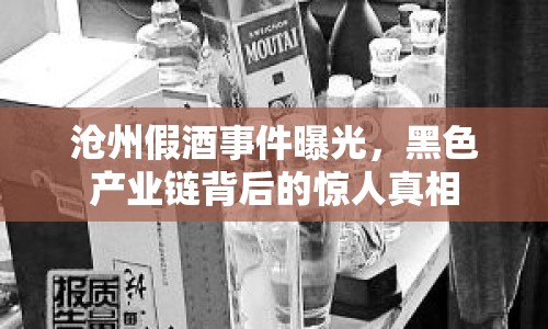 滄州假酒事件曝光，黑色產(chǎn)業(yè)鏈背后的驚人真相