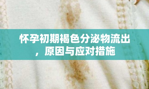 懷孕初期褐色分泌物流出，原因與應(yīng)對措施