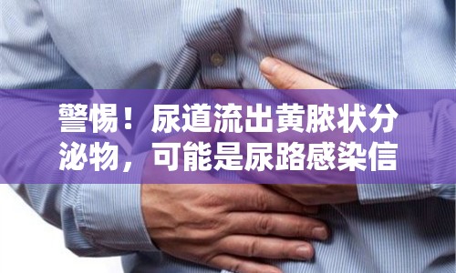 警惕！尿道流出黃膿狀分泌物，可能是尿路感染信號