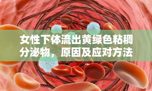 女性下體流出黃綠色粘稠分泌物，原因及應對方法解析