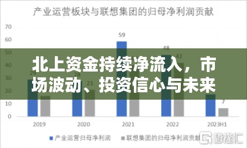 北上資金持續(xù)凈流入，市場波動、投資信心與未來展望