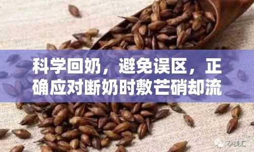 科學回奶，避免誤區(qū)，正確應對斷奶時敷芒硝卻流出奶的情況