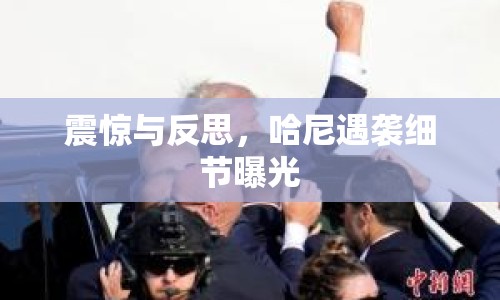 震驚與反思，哈尼遇襲細(xì)節(jié)曝光