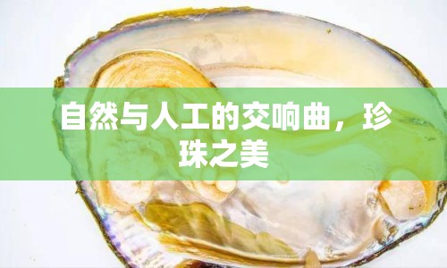 自然與人工的交響曲，珍珠之美