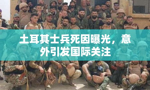 土耳其士兵死因曝光，意外引發(fā)國(guó)際關(guān)注