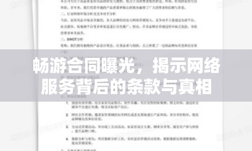 暢游合同曝光，揭示網(wǎng)絡(luò)服務(wù)背后的條款與真相