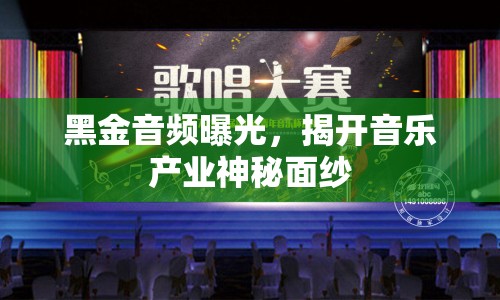 黑金音頻曝光，揭開音樂產(chǎn)業(yè)神秘面紗