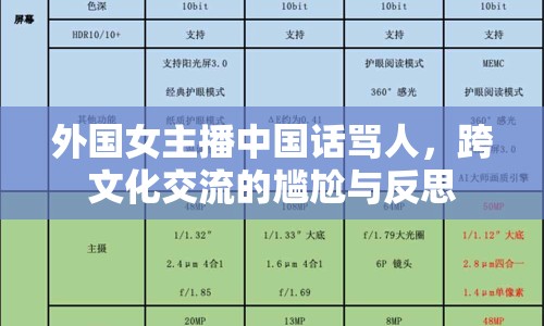 外國女主播中國話罵人，跨文化交流的尷尬與反思
