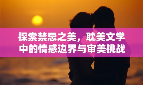 探索禁忌之美，耽美文學中的情感邊界與審美挑戰(zhàn)