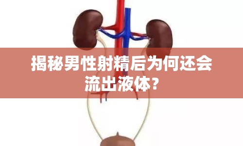 揭秘男性射精后為何還會流出液體？