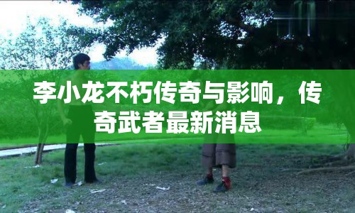 李小龍不朽傳奇與影響，傳奇武者最新消息