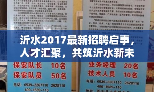 沂水2017最新招聘啟事，人才匯聚，共筑沂水新未來
