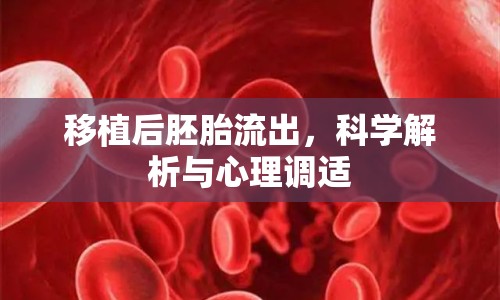 移植后胚胎流出，科學(xué)解析與心理調(diào)適