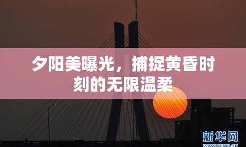 夕陽美曝光，捕捉黃昏時刻的無限溫柔