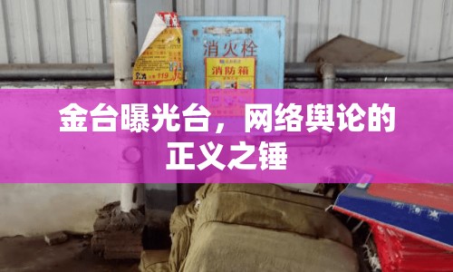 金臺(tái)曝光臺(tái)，網(wǎng)絡(luò)輿論的正義之錘