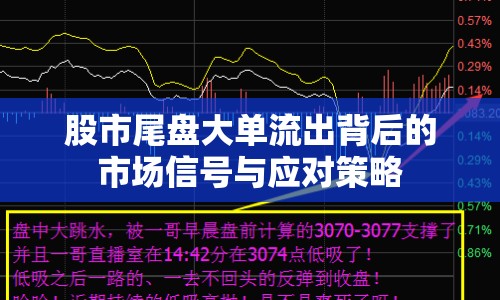 股市尾盤大單流出背后的市場信號與應(yīng)對策略