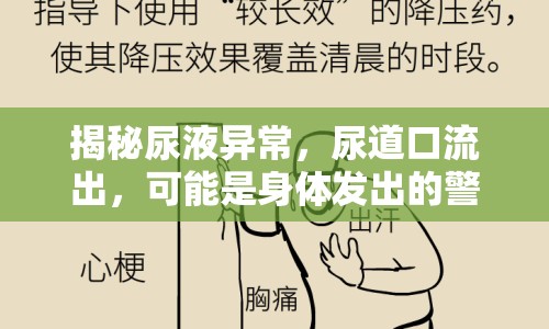 揭秘尿液異常，尿道口流出，可能是身體發(fā)出的警示信號(hào)