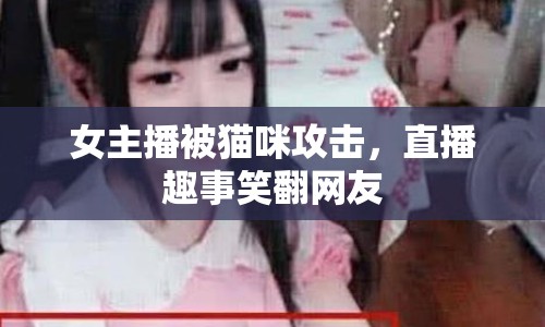 女主播被貓咪攻擊，直播趣事笑翻網(wǎng)友