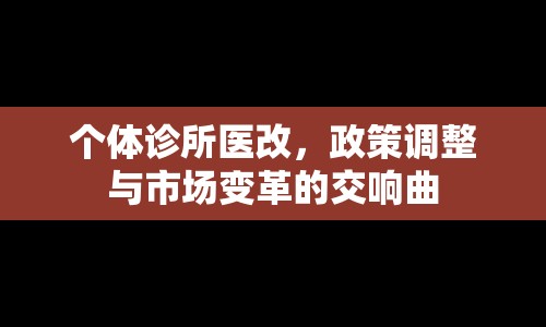 個(gè)體診所醫(yī)改，政策調(diào)整與市場變革的交響曲