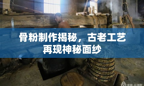 骨粉制作揭秘，古老工藝再現(xiàn)神秘面紗