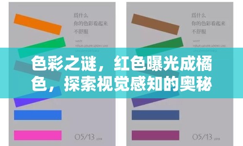 色彩之謎，紅色曝光成橘色，探索視覺感知的奧秘